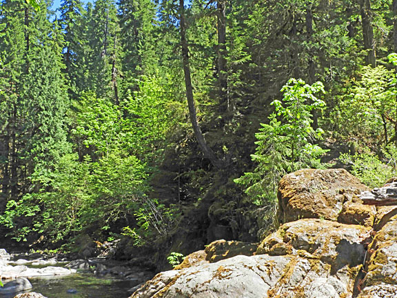 middle santiam 12 small graphic
